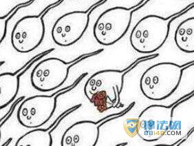 Ծʽ 󲻻Ʒ ˿լˣͼ