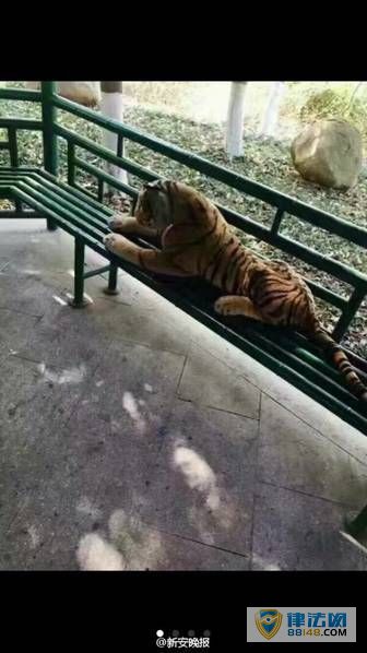 㽭񱨾԰ɽϻ ؾǹץͼ