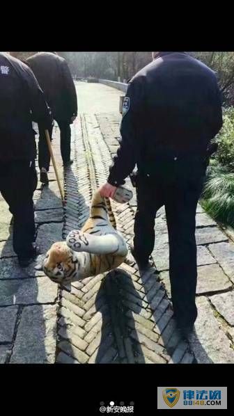 㽭񱨾԰ɽϻ ؾǹץͼ