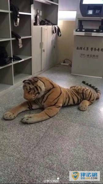 㽭񱨾԰ɽϻ ؾǹץͼ