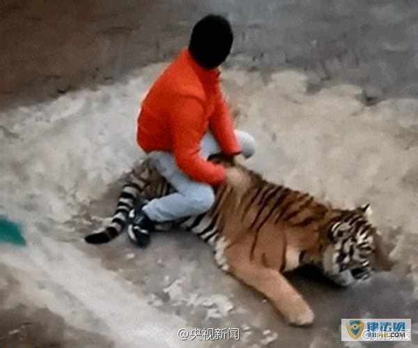 Ұ԰ӦŰϵԱ׻Ϸ Űͼ