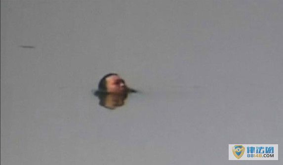 ĴɶһӰ쳳ܶ ͷˮ侲 ׷С2ｫӪ